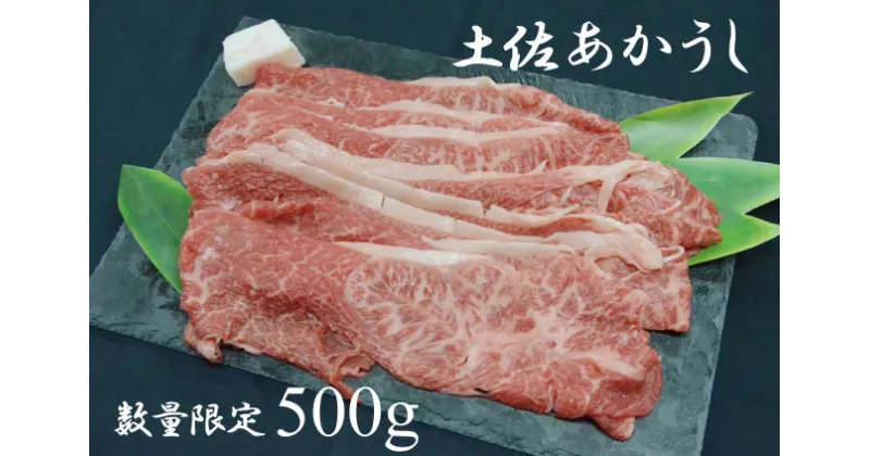 【ふるさと納税】土佐あかうし（約500g）