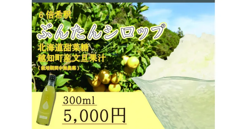 【ふるさと納税】文旦シロップ(300ml)　　国産 文旦 ぶんたん ブンタン 国内原材料 シロップ 甘い おいしい 美味しい 岡林農園 ふるさと納税 越知町 高知 高知県 四国 シロップ 水割り お湯割り 冬におすすめ 保温 保湿 予防 のどケア