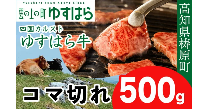 【ふるさと納税】ゆすはら牛 コマ切れ 500g