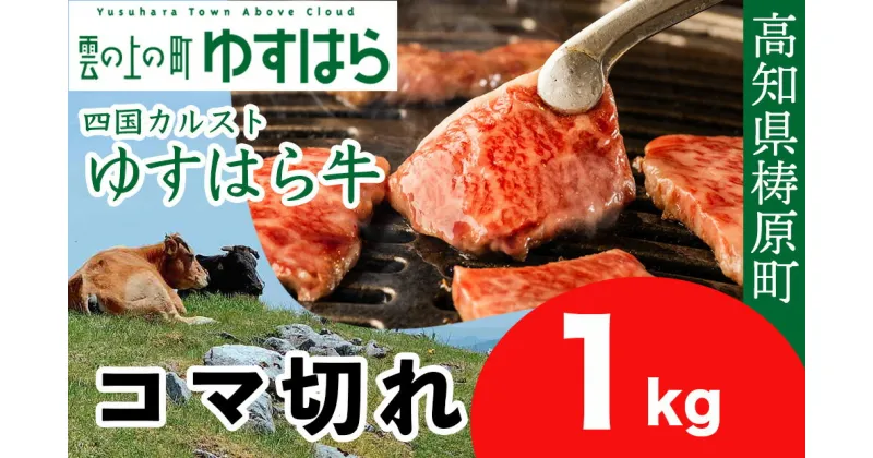 【ふるさと納税】ゆすはら牛 コマ切れ 1kg