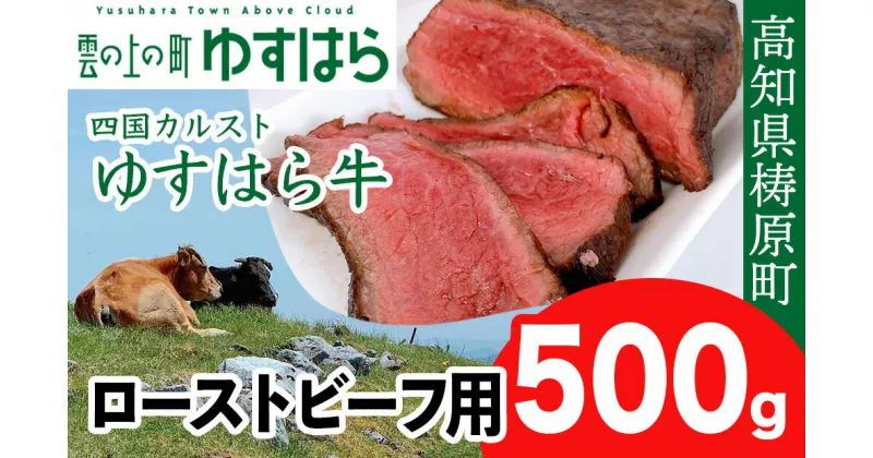 【ふるさと納税】ゆすはら牛 ローストビーフ用 500g