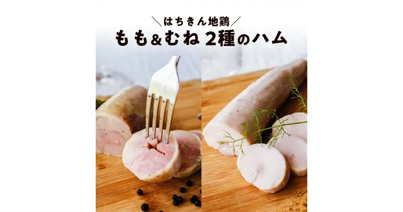 【ふるさと納税】はちきん地鶏のハム むねハム（約150g）・ももハム（約230g） 地鶏 鶏肉 ハム 冷凍 もも肉