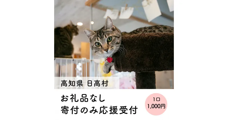 【ふるさと納税】返礼品なし 寄附のみの応援受付（返礼品なし 寄附のみ 1000円）