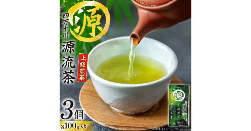 【ふるさと納税】銘茶の里 四万十川源流茶〈上級煎茶〉100g入り×3個 [JA高知県高西営農経済センター津野山経済課 高知県 津野町 26ah0001] お茶 茶葉 おちゃ 煎茶