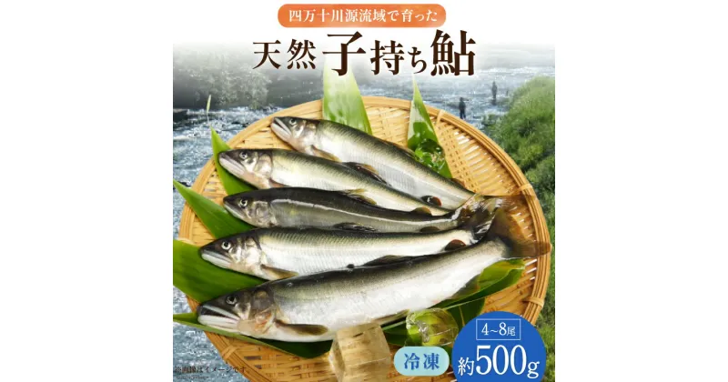 【ふるさと納税】四万十川源流域 冷凍 子持ち鮎 約500g(4～8尾) [株式会社満天の星 高知県 津野町 26ac0001] あゆ アユ 魚 川魚 塩焼き 天然 個包装