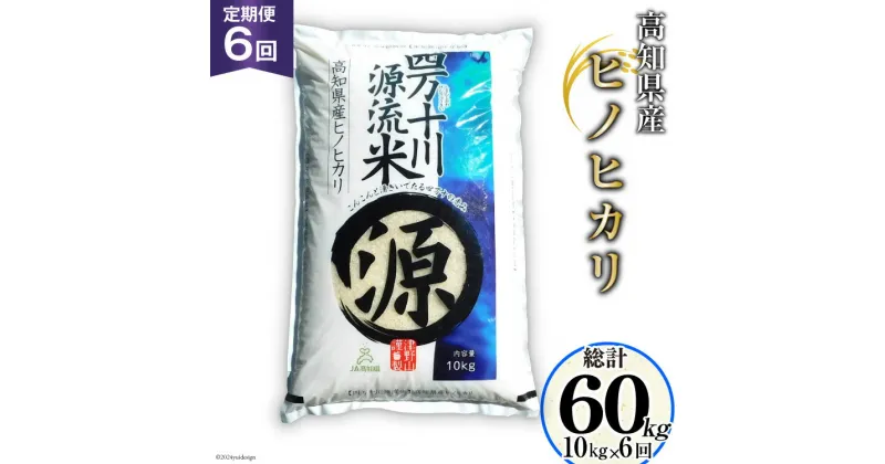 【ふるさと納税】全6回 定期便 米 四万十川源流米・精米 10kg×6回 計60kg [JA高知県高西営農経済センター津野山経済課 高知県 津野町 26ah0010] お米 こめ おこめ 定期 毎月