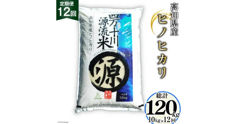 【ふるさと納税】全12回 定期便 米 四万十川源流米・精米 10kg×12回 計120kg [JA高知県高西営農経済センター津野山経済課 高知県 津野町 26ah0011] お米 こめ おこめ 定期 毎月