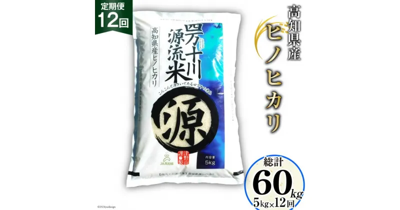 【ふるさと納税】全12回 定期便 米 四万十川源流米・精米 5kg×12回 計60kg [JA高知県高西営農経済センター津野山経済課 高知県 津野町 26ah0009] お米 こめ おこめ 定期 毎月