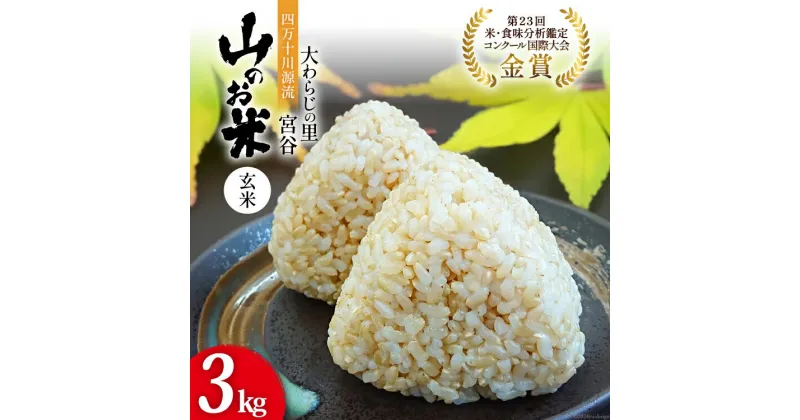 【ふるさと納税】大わらじの里 宮谷 山のお米 玄米 3kg [宮谷営農組合瑞穂ファーム 高知県 津野町 26aq0004] お米 こめ コメ ごはん