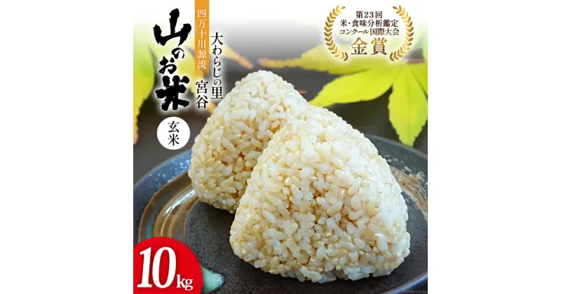 【ふるさと納税】大わらじの里 宮谷 山のお米 玄米 10kg [宮谷営農組合瑞穂ファーム 高知県 津野町 26aq0006] お米 こめ コメ ごはん