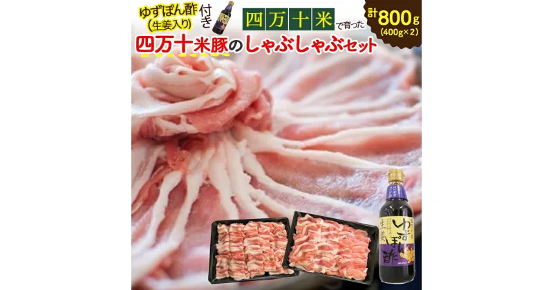 【ふるさと納税】 Qjs-01 柔らかい肉質と甘みが人気！しまんと米豚のしゃぶしゃぶセット 計800g 豚肉 豚 豚しゃぶ お取り寄せ 人気 ギフト お歳暮 お年賀