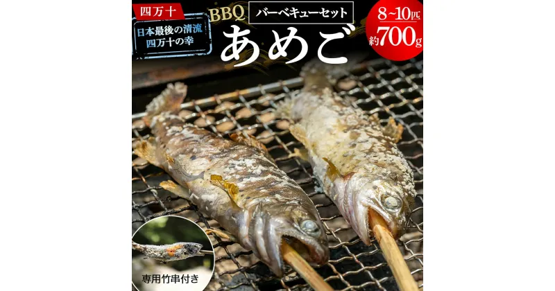 【ふるさと納税】Eay-01 子どもが喜ぶバーベキュー！清流育ちの四万十あめご【BBQ専用竹串付き】 おつまみ バーベキュー BBQ アウトドア アメゴ 魚 魚介 川魚 塩焼き