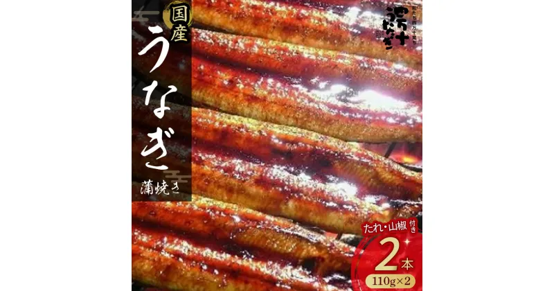 【ふるさと納税】 うなぎ 蒲焼き セット 220g (110g×2本) 国産 名店 食べ方 調理済み うな重・ひつまぶしに タレ付き 山椒付き 化学調味料無添加 ギフト(お歳暮/お正月)お取り寄せ グルメ Esu-A92