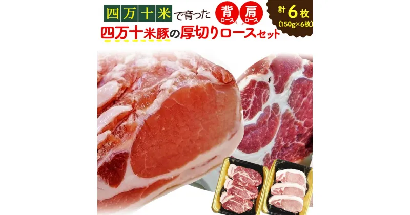 【ふるさと納税】 Qjs-04 しまんと米豚の厚切りセット 150g×6枚 国産 ぶた肉 豚肉 肉 お肉 国産豚肉 国産ぶた肉