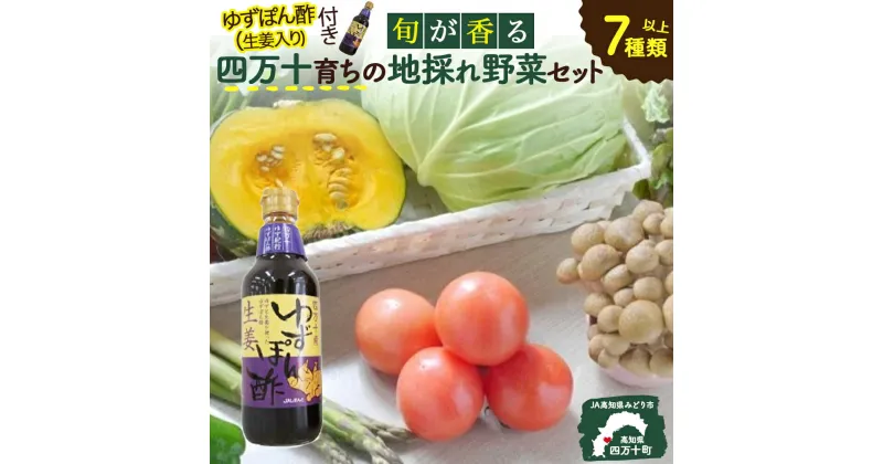 【ふるさと納税】Qjs-05 特製ポン酢つき！安心安全の地どれ野菜【旬が香る7種セット】 野菜便 やさい 国産野菜 季節 フレッシュ 旬