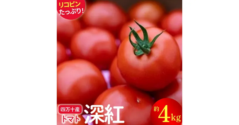 【ふるさと納税】赤さがリコピン満載の証！四万十産トマト「深紅」4kg（1箱24～55玉）／Fbg-006　野菜 新鮮 鮮度 抜群 トマト 完熟トマト 評判 好評 人気 濃厚 とまと リコピン パスタ トマトジュース ジャム 健康食品 美肌 美容 免疫 緑黄色野菜