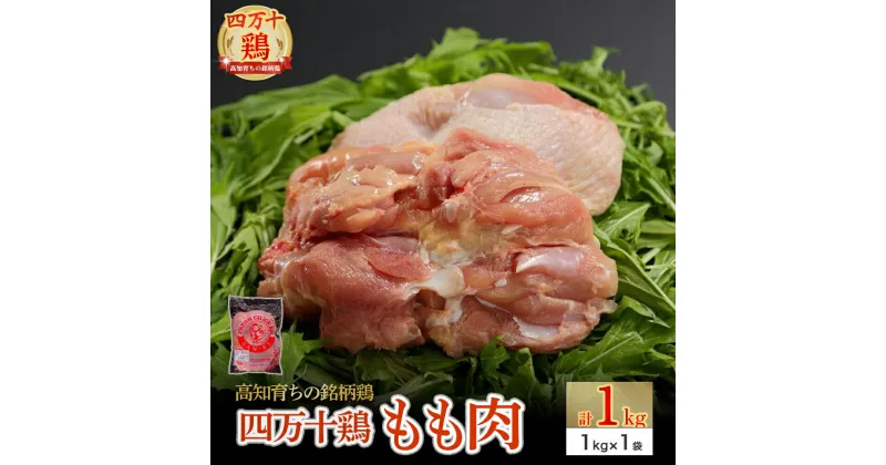 【ふるさと納税】 高知育ちの銘柄鶏 四万十鶏 もも肉 1kg　Adf-A29 国産 国産鶏肉 肉 お肉 鶏肉 とりにく 鳥肉 鶏モモ 鶏もも 冷凍 唐揚げ