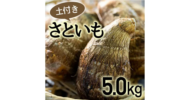 【ふるさと納税】四万十町産「土付きさといも」5.0kg Fiz-06 農産物 新鮮 里芋 里いも 野菜