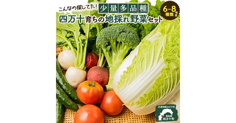 【ふるさと納税】 こんなの探してた！少量多品種 四万十育ちの地採れ野菜セット Qjs-A21 野菜便 やさい 国産野菜 季節 フレッシュ 旬 しょうが にら ピーマン トマト きゅうり せり しいたけ ほうれん草 菜の花 えんどう豆 なす みょうが かぼちゃ 大根