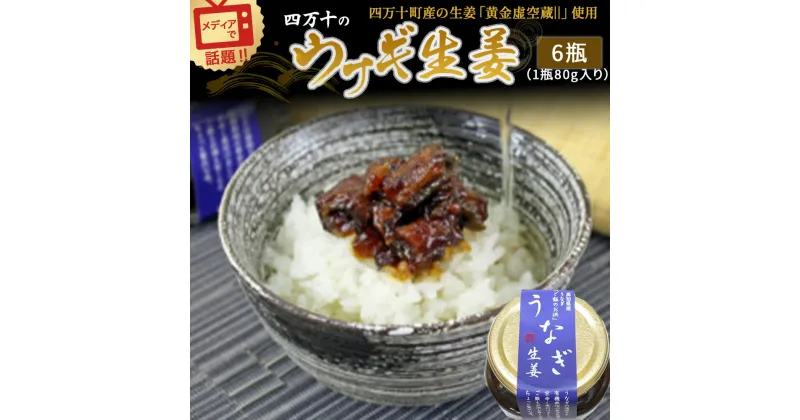 【ふるさと納税】 四万十うなぎ 生姜 6瓶セット（1瓶80g入り） ／Ess-15　ご飯のお供 鰻 ショウガ しょうが 肴 おかず 四万十鰻 瓶詰 おすすめ 人気 国産 厳選