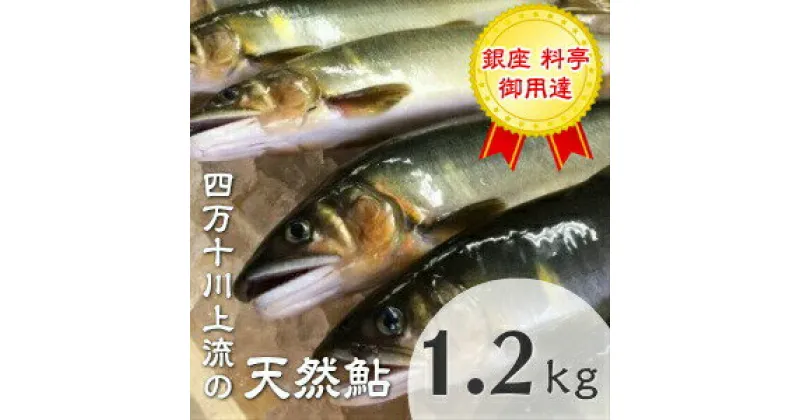 【ふるさと納税】Esj-42k　四万十川上流の天然鮎　釣り鮎【冷凍5～18尾】【着日指定不可】