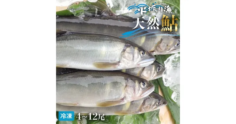 【ふるさと納税】 四万十川上流の天然鮎 冷凍 火振り漁鮎 800g（4～12尾）【着日指定不可】Esj-11k あゆ アユ 魚 魚介 川魚 塩焼き 冷凍 天然 レシピ付 個包装 小分け