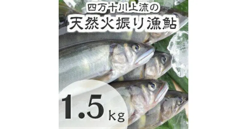 【ふるさと納税】Esj-13k 四万十川上流の天然鮎　冷凍　火振り漁鮎（5～18尾）【着日指定不可】