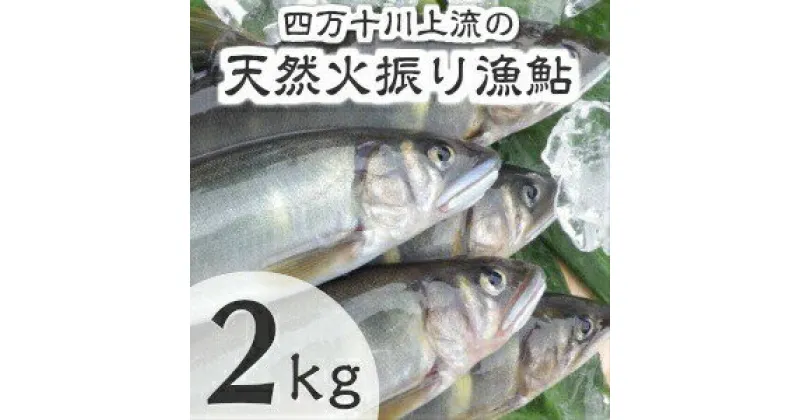 【ふるさと納税】Esj-14k 四万十川上流の天然鮎　冷凍　火振り漁鮎（6～22尾）【着日指定不可】