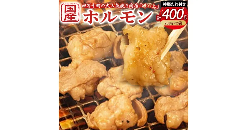 【ふるさと納税】 Amu-01 大人気焼肉屋さんのご家庭で簡単！ホルモン焼きセット もつ 国産 焼肉 国産ホルモン 牛 肉 国産牛 ほるもん 牛ホルモン もつ鍋