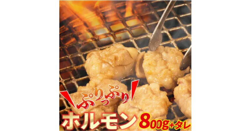 【ふるさと納税】Amu-02 大人気焼肉屋さんのご家庭で簡単！ホルモン焼きセット もつ 国産 焼肉 国産ホルモン 牛 肉 国産牛 ほるもん 牛ホルモン もつ鍋