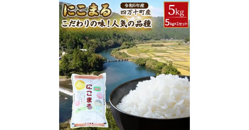 【ふるさと納税】令和6年産◎こだわりの味！人気の品種　井上米穀店さんの「にこまる」／Bib-A06