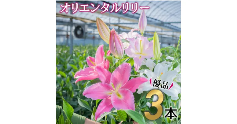 【ふるさと納税】日頃の感謝を「花束」で、オリエンタルリリー【優品3本】Osy-A13 誕生日 植物 フラワー ギフト プレゼント