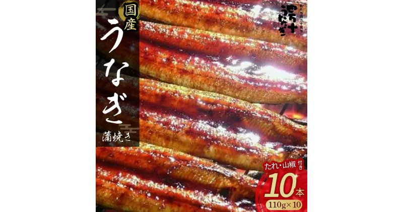 【ふるさと納税】 うなぎ 蒲焼き セット 1kg (110gx10本) たれ 山椒 入り 小分け 惣菜 国産 冷凍 名店 食べ方 調理済み うな重・ひつまぶしに タレ付き 山椒付き 化学調味料無添加 ギフト(お歳暮/お正月)高級 お取り寄せ グルメ Esu-117