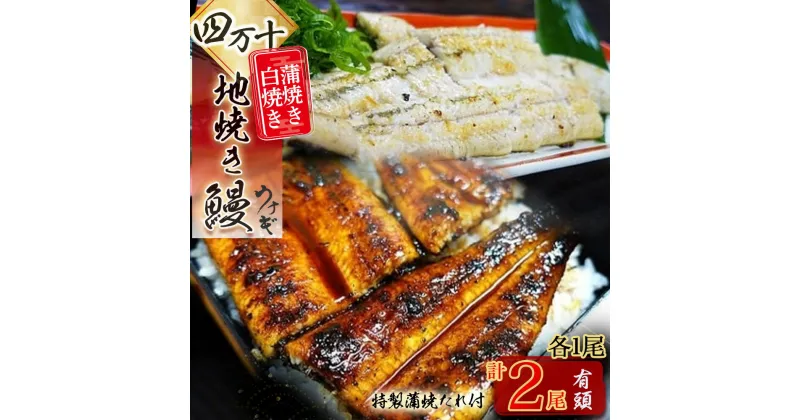 【ふるさと納税】 四万十地焼き鰻2尾 蒲焼＆白焼セット Esg-20 蒲焼 白焼 国産 鰻 ウナギ うなぎ 蒲焼き 肉厚 土用の丑の日