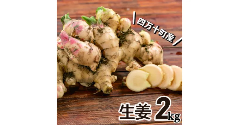 【ふるさと納税】ミネラル豊富なエコ栽培生姜2kg Fms-09 しょうが ジンジャー おかず 野菜 大容量