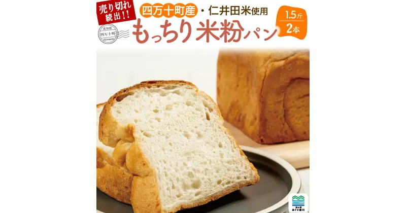 【ふるさと納税】 道の駅で売り切れ大人気！モッチリ食感の米粉パン「もち肌美食ぱん」1.5斤×2本 Qak-38 米粉パン 食パン 冷凍パン もっちり 仁井田米 にいだまい 米粉 パン 国産 人気 おすすめ 四万十 こめ粉 お米の粉 米粉パン 名産品 特産品 お取り寄せ