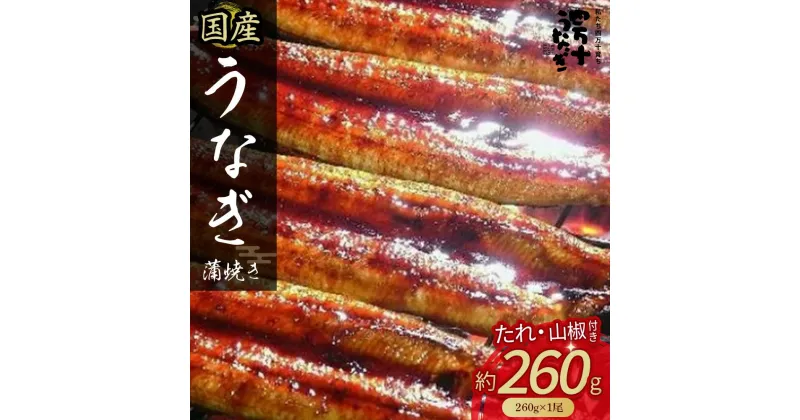 【ふるさと納税】 うなぎ蒲焼き【260g x 1尾】 Esu-40　冷凍 たれ付き 蒲焼 国産 鰻 ウナギ うなぎ 蒲焼き 肉厚 土用の丑の日 本格うなぎ 山椒付き 四万十鰻 おすすめ