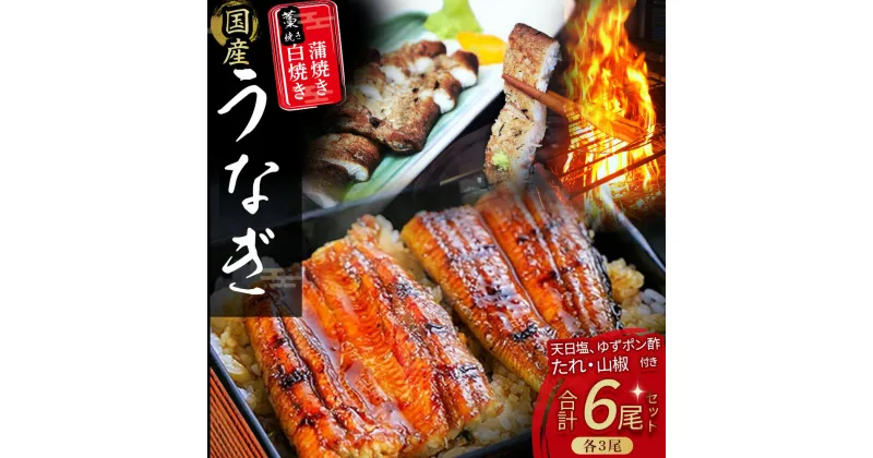 【ふるさと納税】 うなぎ藁焼き 白焼き・蒲焼き 各3尾セット【140g x 6尾】Esu-109 冷凍 たれ付き 蒲焼 白焼 国産 鰻 ウナギ うなぎ 蒲焼き 肉厚 土用の丑の日 本格うなぎ 山椒付き 個包装 四万十鰻 おすすめ 小分け