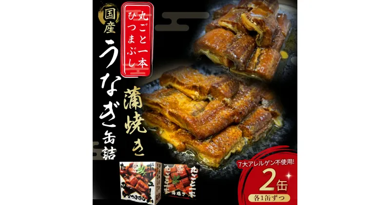 【ふるさと納税】 うなぎ缶詰セット【蒲焼・ひつまぶし】国産 うなぎ 蒲焼 鰻 塩鰻 ウナギ 海産物 ギフト 贈答 贈り物 おつまみ 備蓄 防災 食料 長期保存 非常食 Esu-76