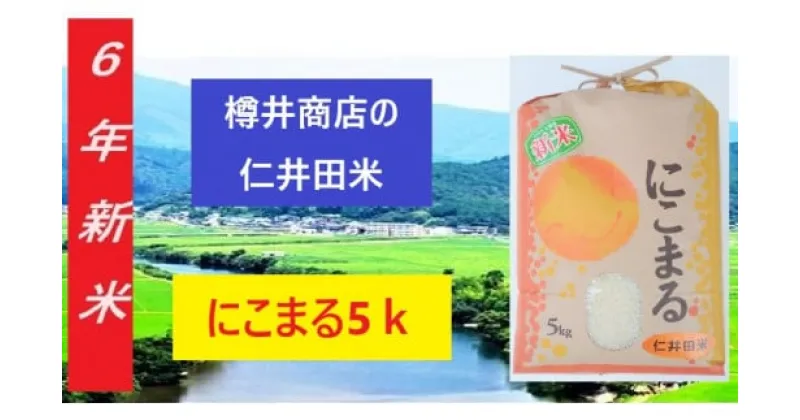 【ふるさと納税】【令和6年産】仁井田米「にこまる」 5kg　／Bti-A09