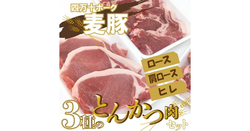 【ふるさと納税】平野協同畜産の「麦豚」　3種のとんかつ肉セット　ロース　肩ロース　ヒレ Ahc-12