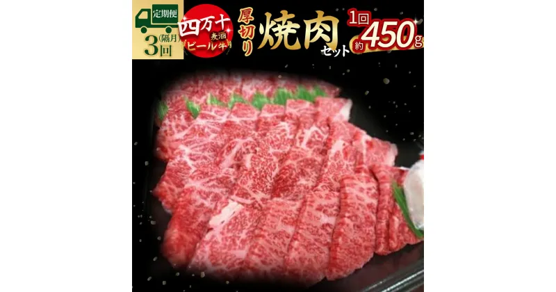 【ふるさと納税】 【定期便3回／隔月】四万十麦酒（ビール）牛。牛肉を焼肉用に厚切り。Sasz-01 麦酒牛 ビール牛 厚切り肉 国産牛 肉 お肉 冷凍 頒布会 冷凍 焼肉セット