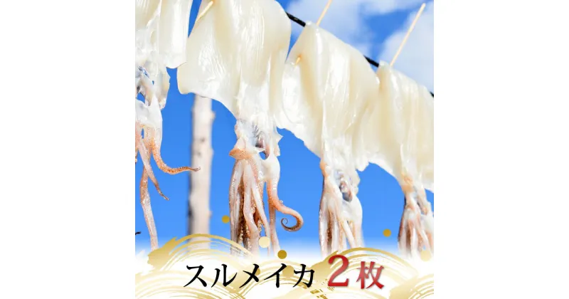 【ふるさと納税】スルメイカの一日干し 2枚