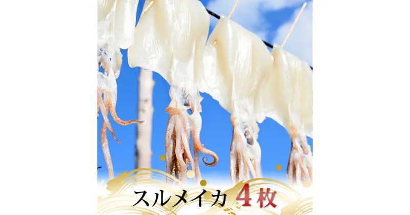 【ふるさと納税】スルメイカの一日干し 4枚