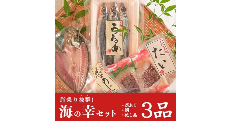 【ふるさと納税】土佐大月海産　海の幸セット　3品