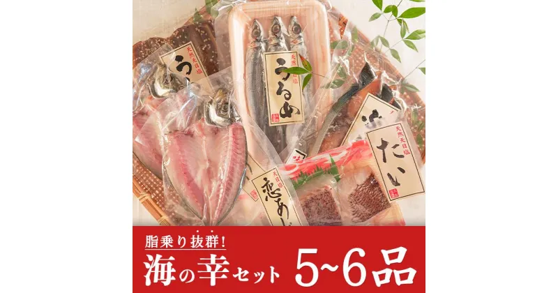 【ふるさと納税】土佐大月海産　海の幸セット　5〜6品