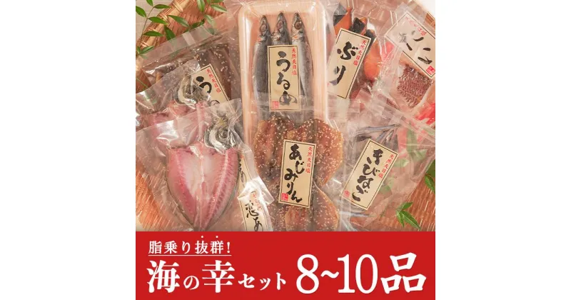 【ふるさと納税】土佐大月海産　海の幸セット　8〜10品