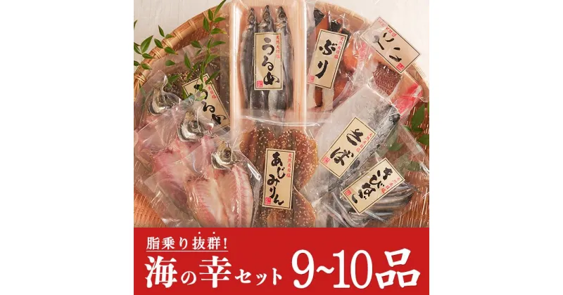 【ふるさと納税】土佐大月海産　海の幸セット　9〜10品