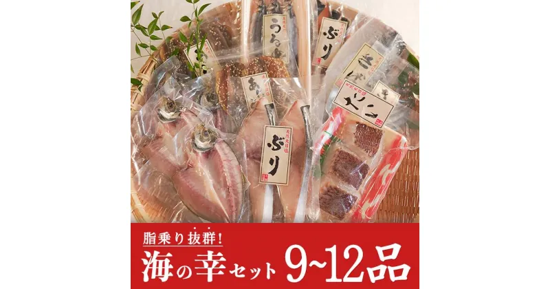 【ふるさと納税】土佐大月海産　海の幸セット　9〜12品