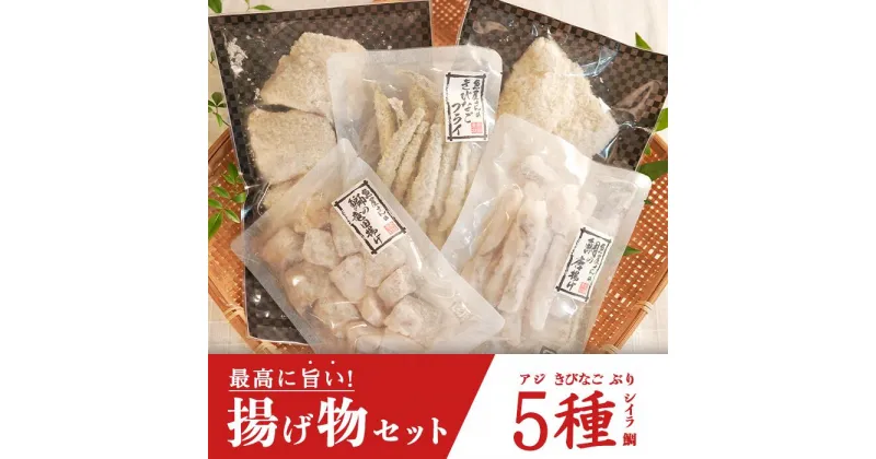 【ふるさと納税】土佐大月海産　揚げ物セット　5種